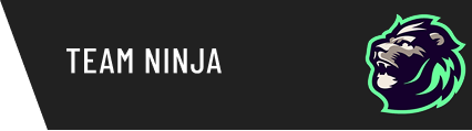 Team Ninja